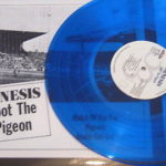 Spot The Pigeon Blue Vinyl