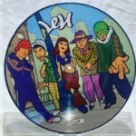 Len - You Can't Stop The Bum Rush Picture Disc